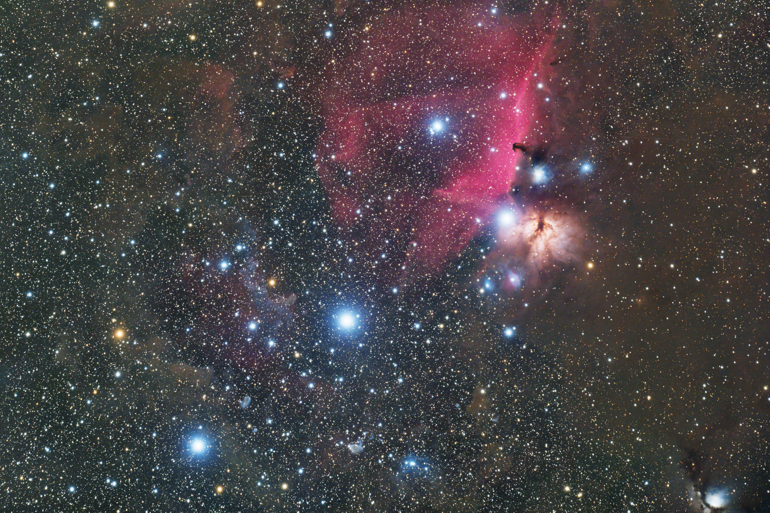 SJH-75UF 撮影作例2